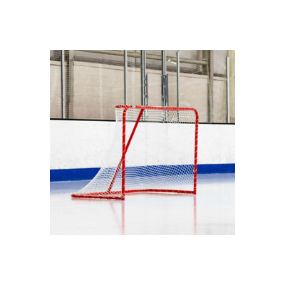 Хоккейная сеть SH-2 для тренировок и игр на льду