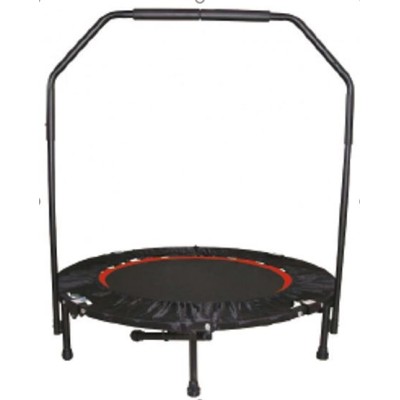 Fitnesa batuts AS025 ar diametru 102 cm