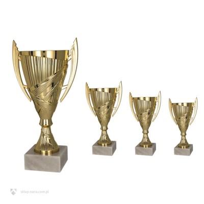 Чаша 8300 - изящный и стильный кубок