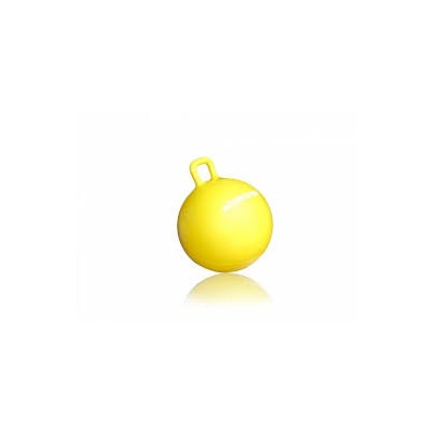 Exercise Ball with Handle BL010 45cm - Versatile Fitness ...
