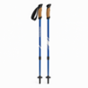 Nordic walking poles